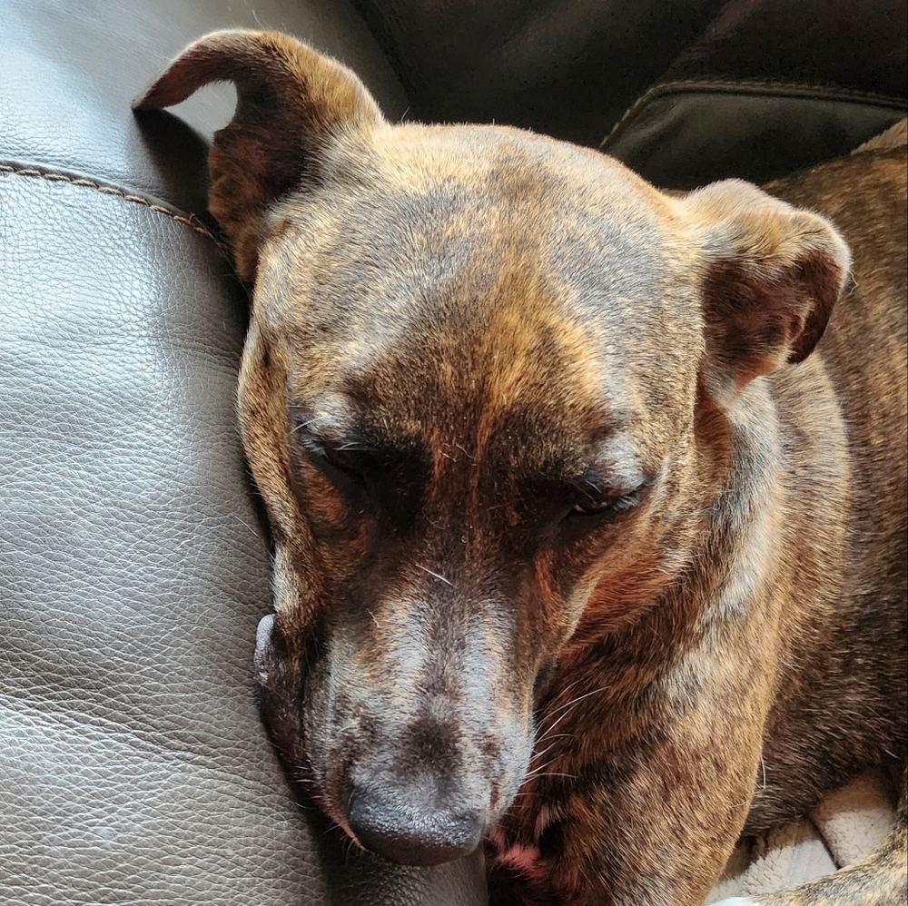 Meet your Posher, Madelyn